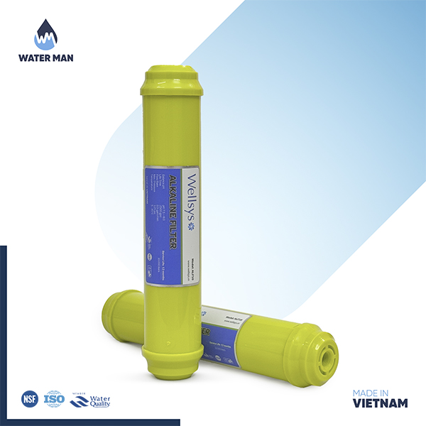 Wellsys Alkaline Filter