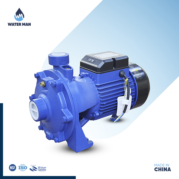 ADELINO 2ACm Feed Pump
