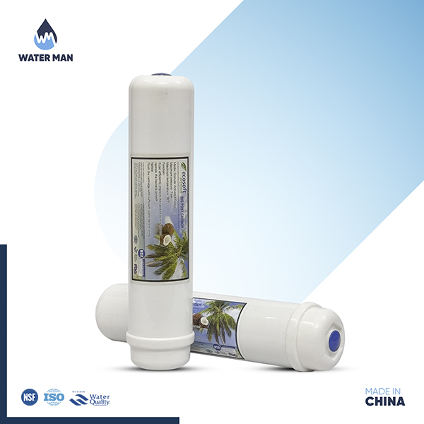 Ecosoft In line Post Carbon Filter