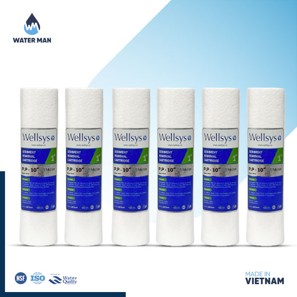 Wellsys 6pcs PP Filter Set - Vietnam