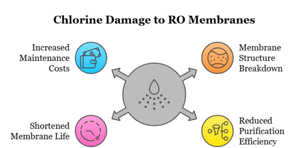 Chlorine damage to RO membrane due to lack of carbon pre filter causing reduced purification efficiency and shorter membrane life