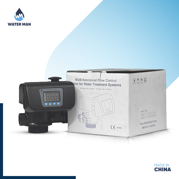 2.5 inch Automatic Carbon Filter Head with Manual Backwash Option